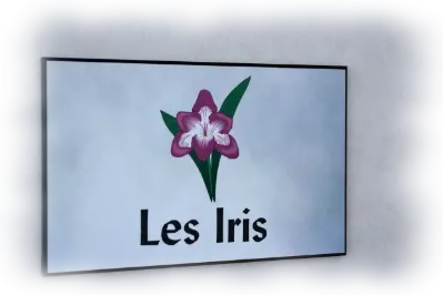Les Iris